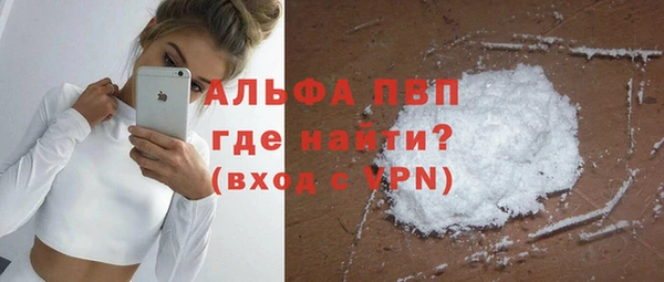 гашик Заводоуковск