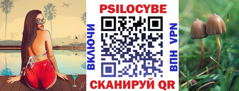 Псилоцибиновые грибы мухоморы  Купить закладки  Могоча 