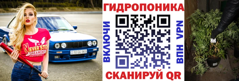 Бошки Шишки OG Kush  Купить где  Могоча 